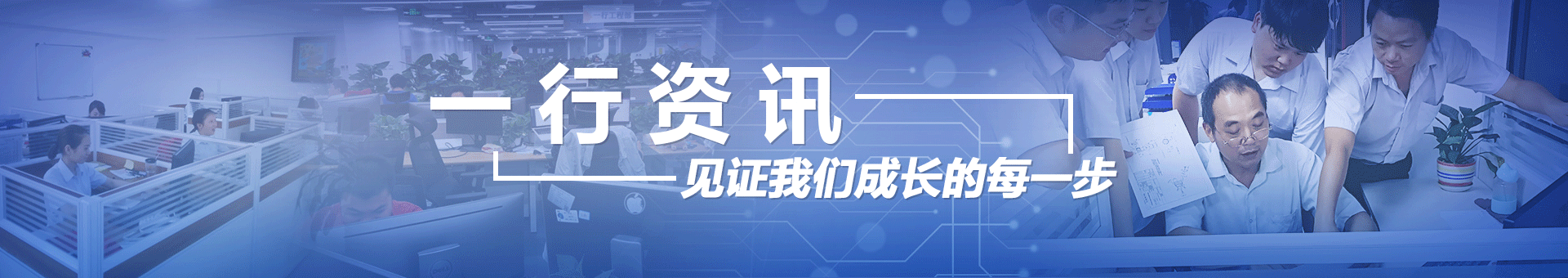 虎羊装饰材料