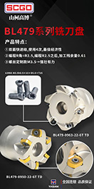 SCGO&reg; 山柯高博BL479系列双面R2.5快进给